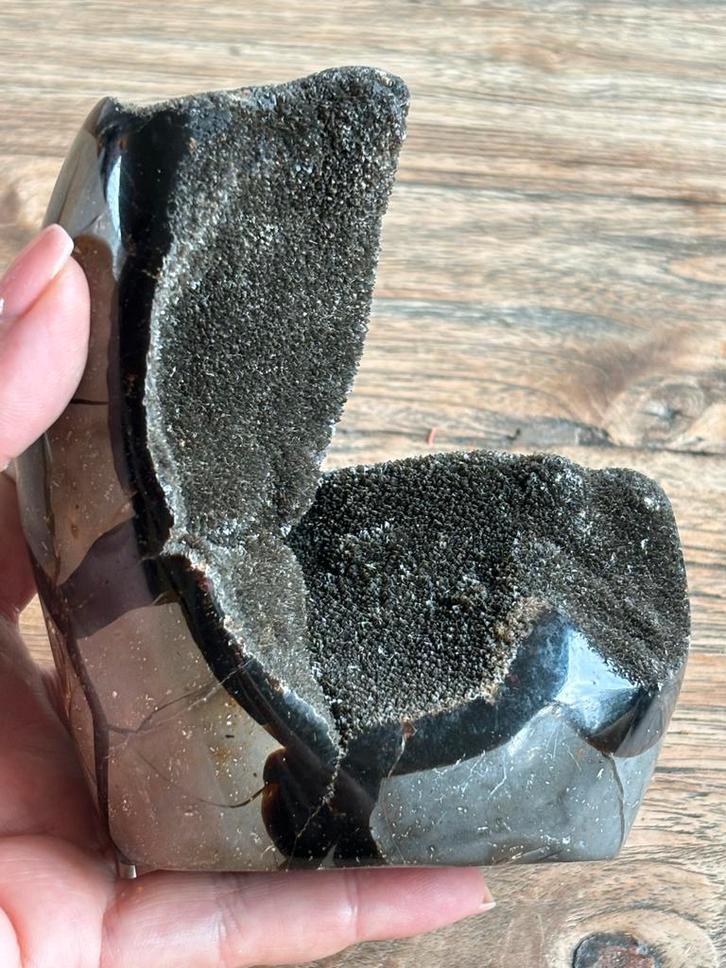 Septarie Edelsteen - Prachtig Exemplaar!, Verzamelen, Mineralen en Fossielen, Mineraal, Ophalen of Verzenden