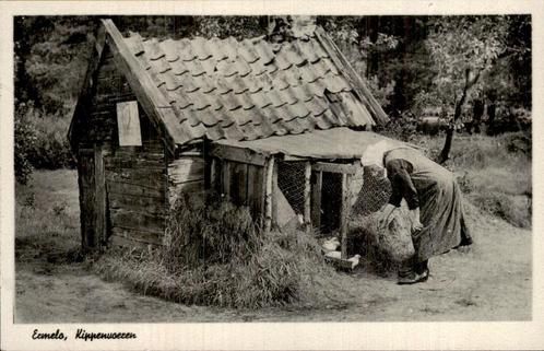 Ermelo - Kippen voeren, Verzamelen, Ansichtkaarten | Nederland, Gelopen, Gelderland, Voor 1920, Ophalen of Verzenden