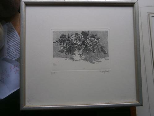 DANIELE GAY, Zeer mooie ets Bloemen/planten in een pot, Antiek en Kunst, Kunst | Etsen en Gravures, Ophalen