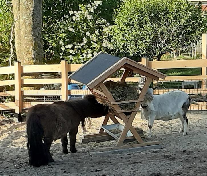 hooiruif, Dieren en Toebehoren, Paarden en Pony's | Overige Paardenspullen, Nieuw, Overige soorten, Ophalen of Verzenden