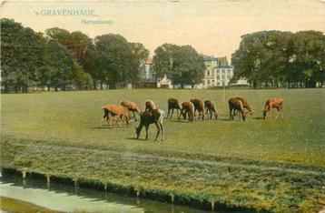 (301-041-033) Den Haag Hertenkamp beschikbaar voor biedingen
