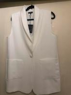 CAROLINE BISS JASJE  36/38, Kleding | Dames, Ophalen of Verzenden, Zo goed als nieuw, Maat 36 (S)