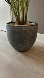 Plantenpot met hydrocultuur, Ophalen, Steen, Binnen, Minder dan 60 cm
