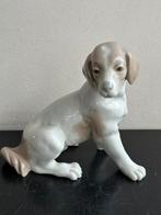 Nao v LLardo porselein hond beeld 15/15 cm, Verzamelen, Beelden en Beeldjes, Ophalen of Verzenden, Zo goed als nieuw, Dier