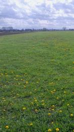 20470 m2 Biologische Landbouwgrond te Koop, Zakelijke goederen, Agrarisch | Agrarisch Onroerend goed, Ophalen, 1 tot 5 ha, Cultuurgrond