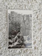 Ouwehands Dierenpark - Leeuwenterras, Ophalen of Verzenden, 1940 tot 1960, Ongelopen