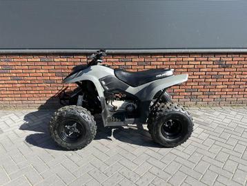 POLARIS PHOENIX 200 GRIJS beschikbaar voor biedingen