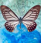 Vlinder Schilderij - Verdoes 2007 - Modern Kunstwerk, Antiek en Kunst, Ophalen
