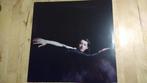 lp My Brightest Diamond - Bring Me The Workhorse, Ophalen of Verzenden, Gebruikt, 12 inch, Overige genres