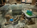 Hamster kooi, Kooi, Minder dan 75 cm, Zo goed als nieuw, Hamster