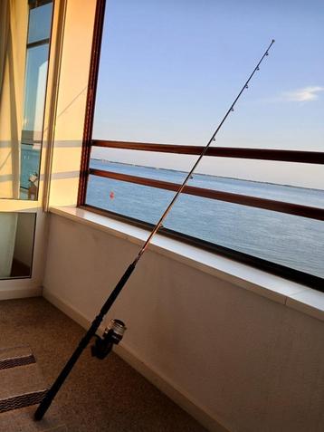 Shimano Twin Power boothengel met Daiwa molen beschikbaar voor biedingen