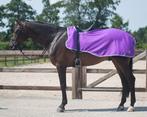 Uitrijdeken M, Dieren en Toebehoren, Paarden en Pony's | Dekens en Dekjes, Qhp, Nieuw, Maasbracht, Ophalen of Verzenden