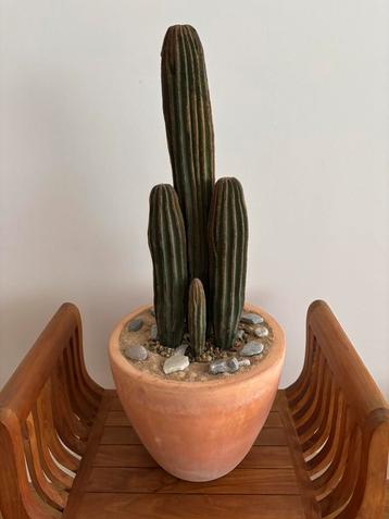 Cactus kunst plant beschikbaar voor biedingen