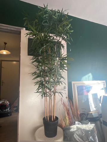 Ikea Fejka Kunstplant Bamboe - Losse Stelen beschikbaar voor biedingen