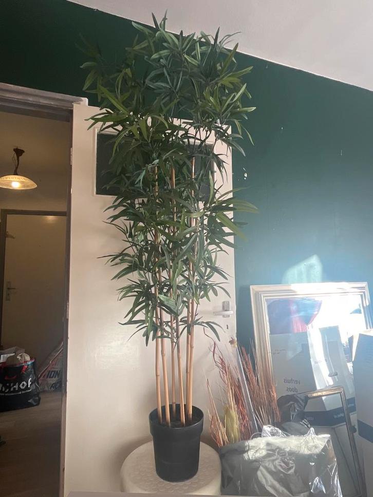 Ikea Fejka Kunstplant Bamboe - Losse Stelen, Huis en Inrichting, Woonaccessoires | Kunstplanten en Kunstbloemen, Gebruikt, Binnen