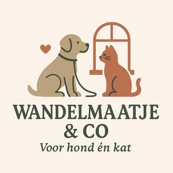 Kattenoppas aan huis Purmerend eo beschikbaar voor biedingen