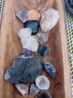 Diverse Collectie Mineralen en Schelpen, Verzamelen, Ophalen of Verzenden, Mineraal