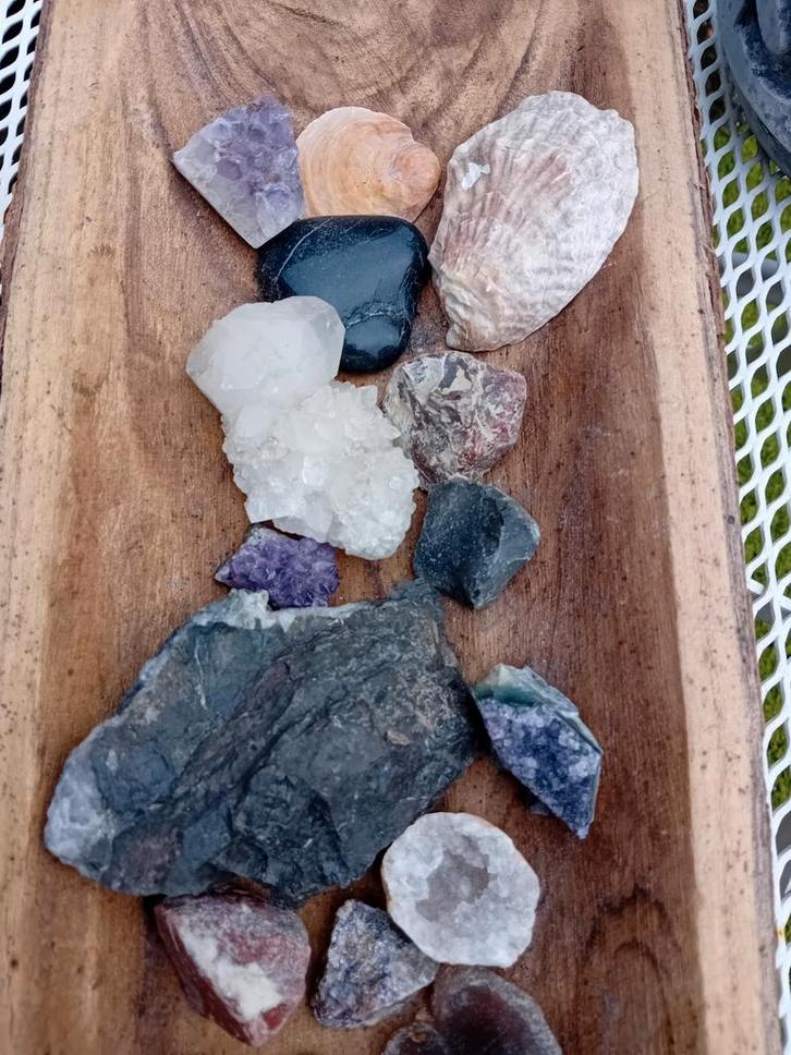 Diverse Collectie Mineralen en Schelpen, Verzamelen, Mineralen en Fossielen, Mineraal, Ophalen of Verzenden