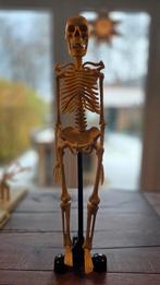 Verkleind model van menselijk skelet geraamte ex HEMA #233, Diversen, Ophalen of Verzenden, Zo goed als nieuw