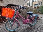 Popal meisjesfiets 20 inch, Fietsen en Brommers, Fietsen | Meisjes, Ophalen, Gebruikt, Popal transport fiets, Handrem