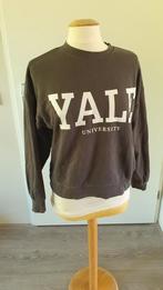 Yale Trui - H&M - XS, H&M, Beige, Ophalen of Verzenden, Maat 34 (XS) of kleiner