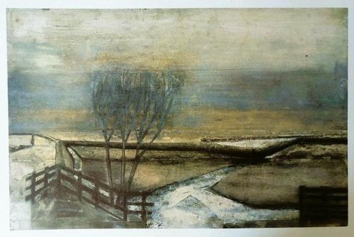 Sjoerd de Vries Grafiek Offsetdruk (1941 - 2020), Antiek en Kunst, Kunst | Litho's en Zeefdrukken, Ophalen of Verzenden
