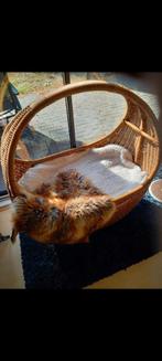 Kittens, Dieren en Toebehoren, Ophalen, Zo goed als nieuw, Riet