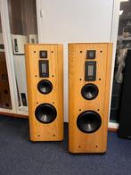 Infinity Renaissance 90 luidsprekers – zeer goede staat, Gebruikt, Nvt, 120 watt of meer, Nvt
