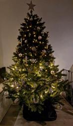 triumph tree norway spruce, Diversen, Kerst, Ophalen, Gebruikt