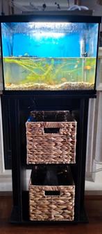Aquarium 50 liter bak inclusief standaard, Ophalen, Zo goed als nieuw, Leeg aquarium