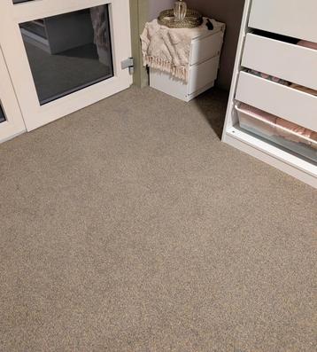 Showroom Tapijt Gemêleerd Taupe/Grijs beschikbaar voor biedingen