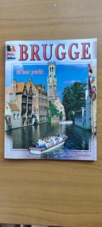 Reisgids Brugge, Belgie, Ophalen of Verzenden, Reisgids of -boek, Benelux, Gelezen