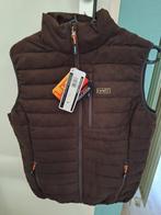Hart bodywarmer dames, Ophalen of Verzenden, Nieuw