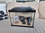 Superfish Aquarium, Dieren en Toebehoren, Ophalen, Gebruikt, Leeg aquarium