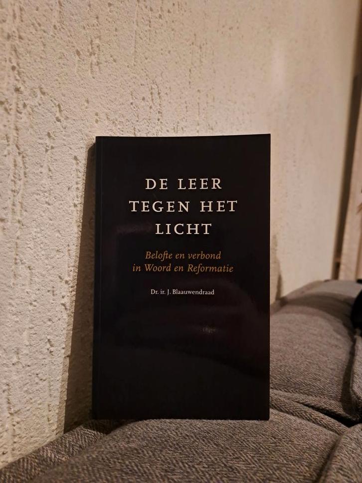 De Leer Tegen Het Licht - I. Blaauwendraad, Boeken, Godsdienst en Theologie, Gelezen, Christendom | Protestants, Ophalen of Verzenden