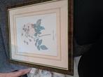 Vintage lijst met prent Adelaide d" O'rleans, Ophalen