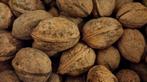 ALLERLAATSTE KILO'S walnoten biologisch 10 kilo beschikbaar, Ophalen, Nieuw, Overige typen