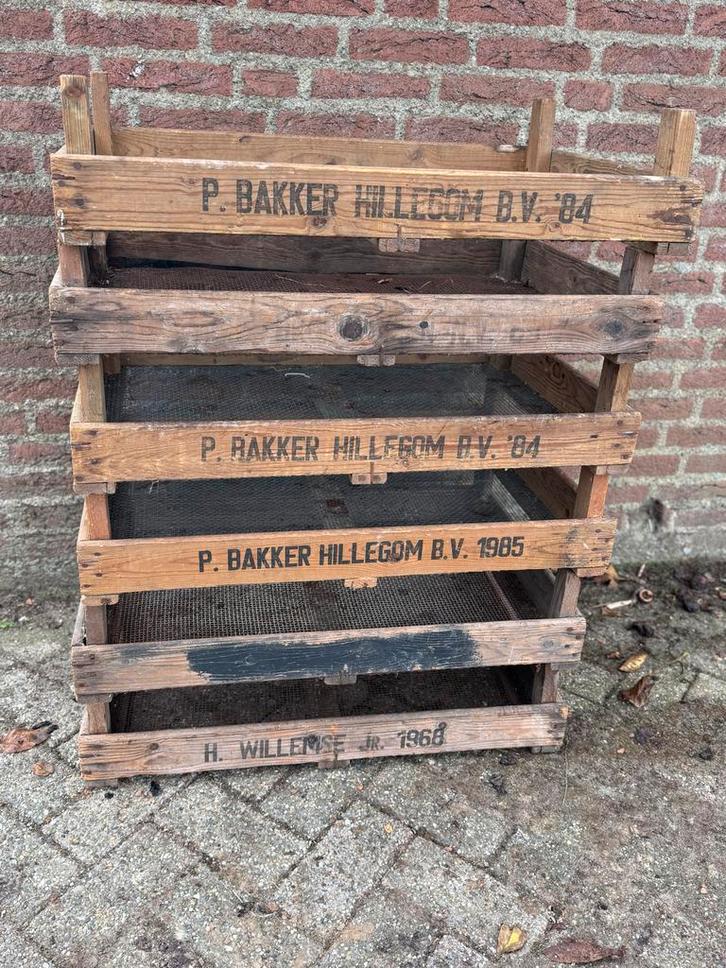 3 Oude Kweekbakken - Vintage Tuinaccessoires, Tuin en Terras, Kweekspullen, Gebruikt, Kweekbak, Ophalen of Verzenden