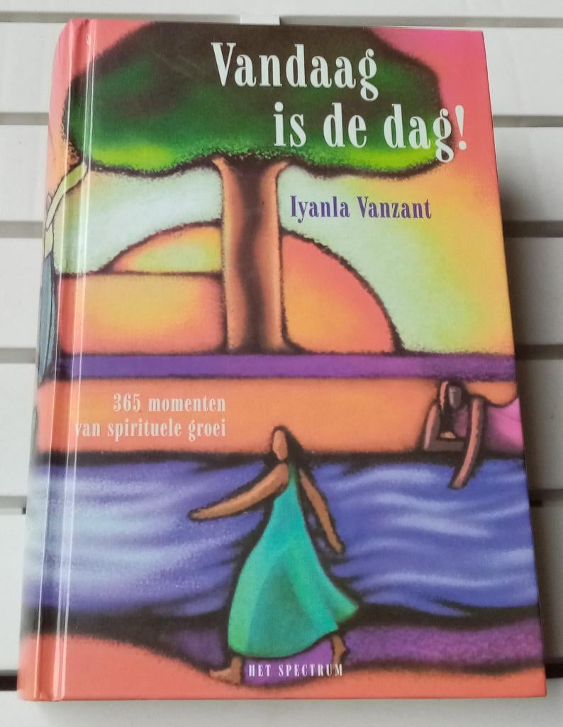 VANDAAG IS DE DAG! 365 momenten van spirituele groei, Boeken, Gelezen, Achtergrond en Informatie, Spiritualiteit algemeen, Iyanla Vanzant
