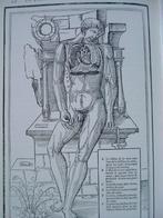 Ambroise Paré, mens, leermeester en chirurg, 1510 - 1590., Boeken, Gelezen, C. Rogge, Overige wetenschappen, Ophalen of Verzenden