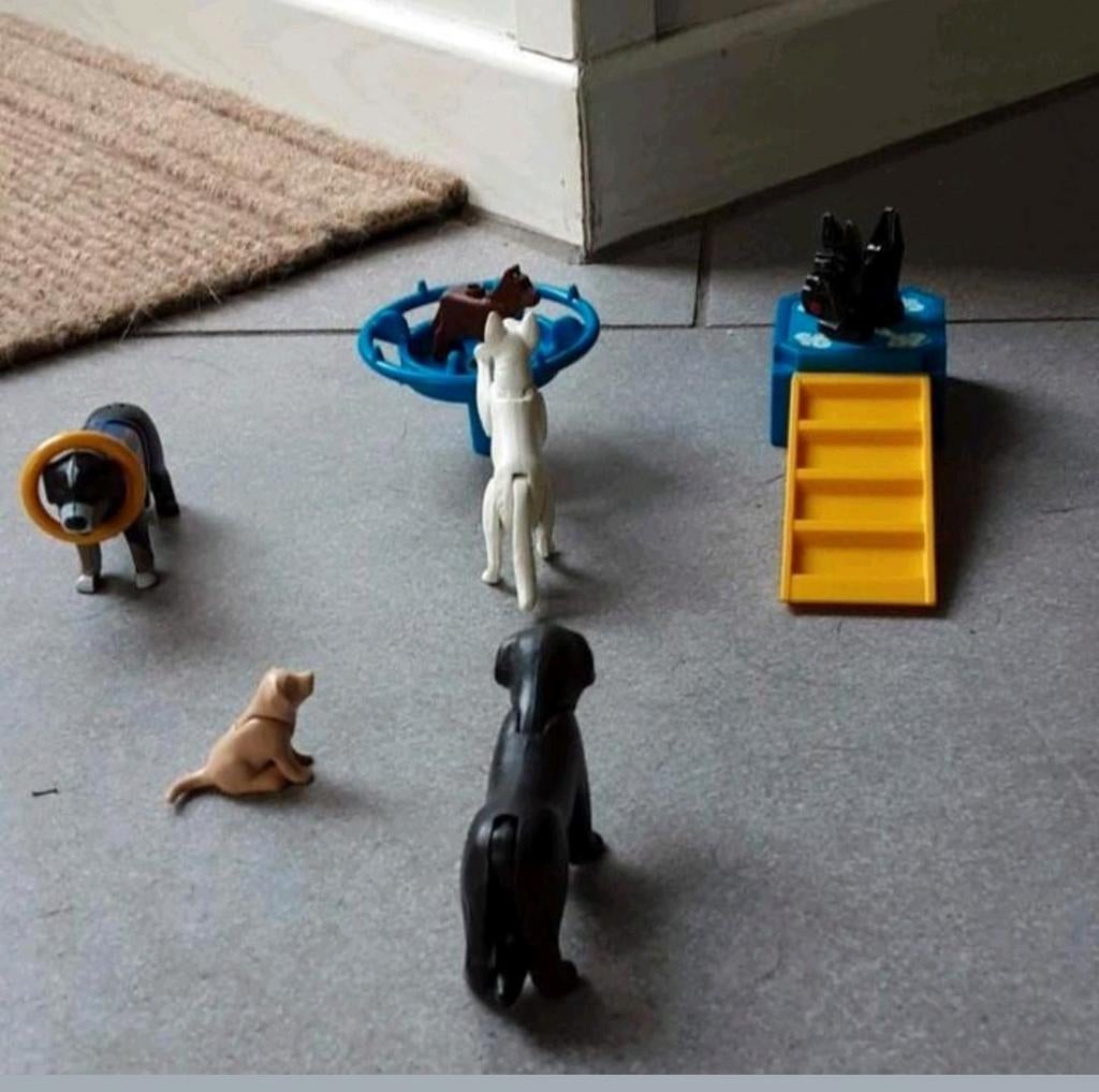 NIEUW PLAYMOBIL CIRCUS HONDEN ACT COMPLEET, Ophalen of Verzenden, Nieuw, Complete set