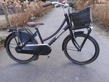 Mooie Matzwarte 22 inch Popal Daily  transport beschikbaar voor biedingen