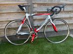 Pinarello FP6 full carbon, Fietsen en Brommers, 28 inch, Carbon, Heren, Zo goed als nieuw