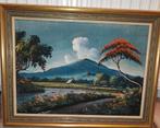 Schilderij Indonesië Java vulkaan sawa's 55x42 cm, Antiek en Kunst, Kunst | Schilderijen | Klassiek, Ophalen of Verzenden