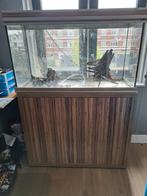 Aquarium Aqualantis 100 cm, Dieren en Toebehoren, Vissen | Aquaria en Toebehoren, Zo goed als nieuw, Ophalen, Leeg aquarium