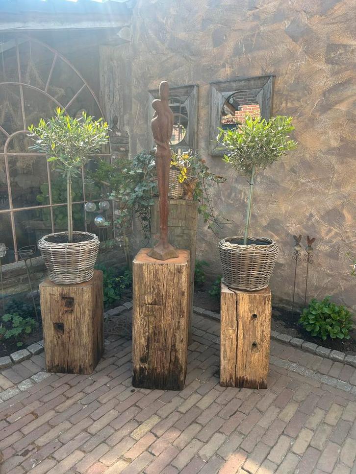 Decoratieve Meerpalen met Ringen, Tuin en Terras, Tuinbeelden, Gebruikt, Overige typen, Hout, Ophalen
