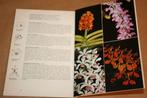 Exotische orchideee͏̈n. Tropische bloemenpracht voor raam., Ophalen of Verzenden, Gelezen