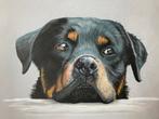 Realistische Rottweiler Tekening, Ophalen of Verzenden