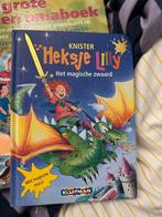 Heksje Lilly, Boeken, Ophalen of Verzenden, Fictie algemeen, Zo goed als nieuw