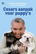 Cesars aanpak voor puppy's - Cesar Millan, Boeken, Ophalen of Verzenden, Nieuw, Honden